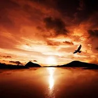 pôr do sol com água é montanhas ao fundo e um pássaro voando